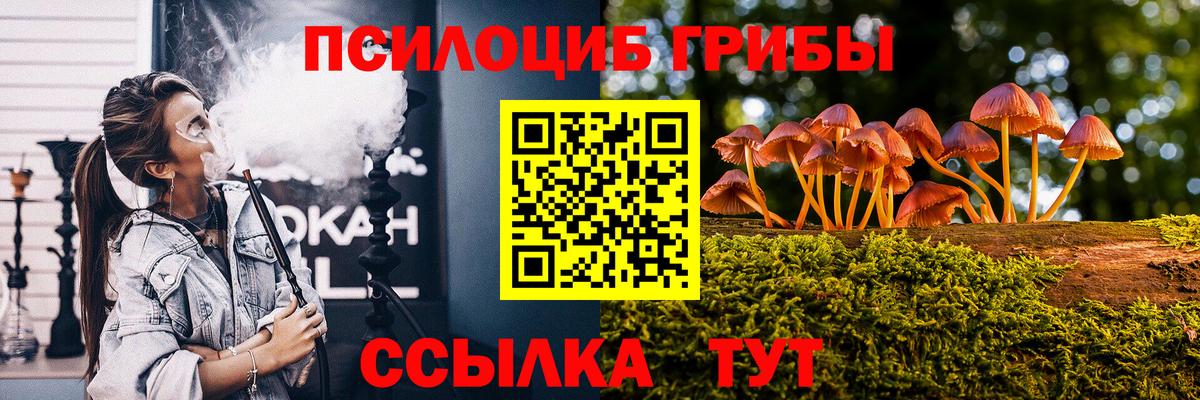 Галлюциногенные грибы Psilocybine cubensis  Вход с VPN  Новочеркасск 